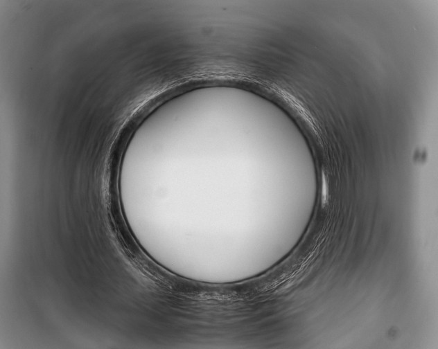 X0000100350627200806060801