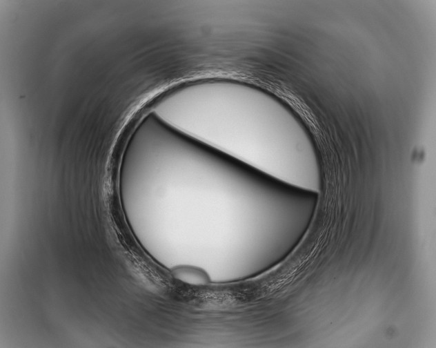 X0000100350628200806060801