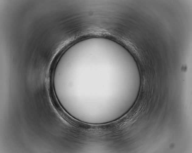 X0000100350630200806060801