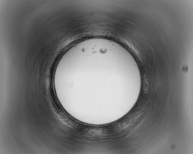 X0000100350631200806060801