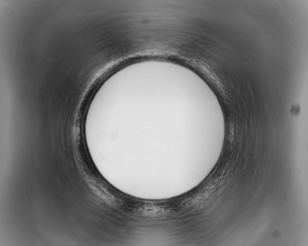 X0000100350632200806060801
