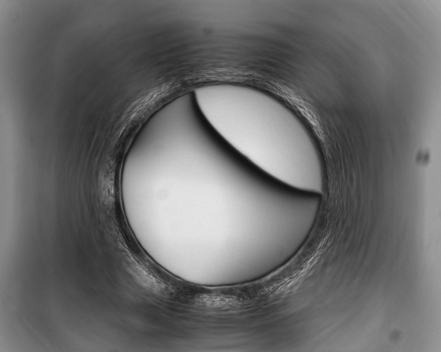 X0000100350633200806060801