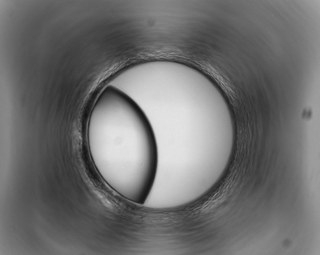 X0000100350634200806060801