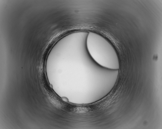 X0000100350636200806060801