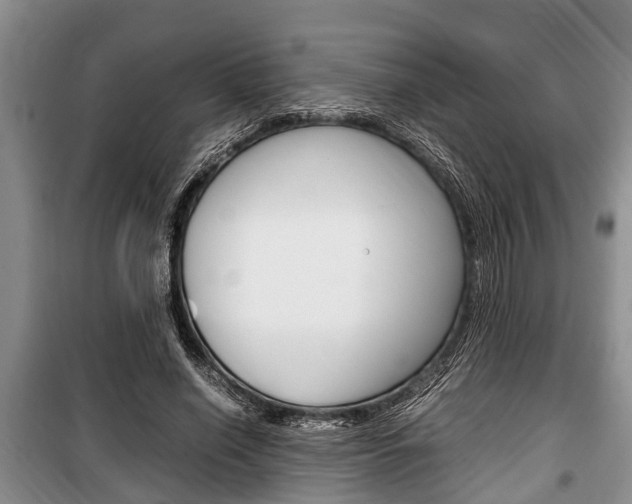 X0000100350638200806060801