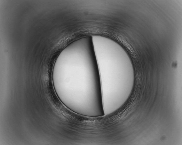 X0000100350639200806060801