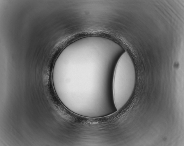 X0000100350640200806060801