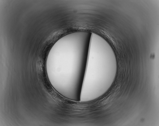 X0000100350643200806060801
