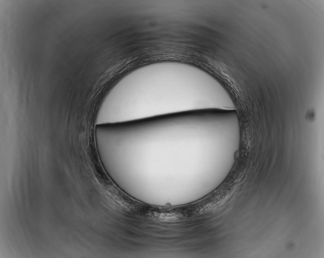 X0000100350645200806060801