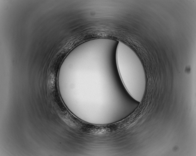 X0000100350646200806060801