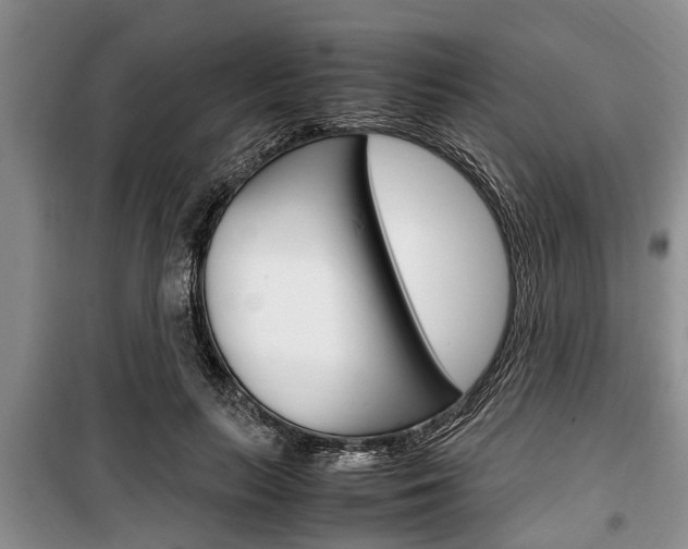 X0000100350647200806060801