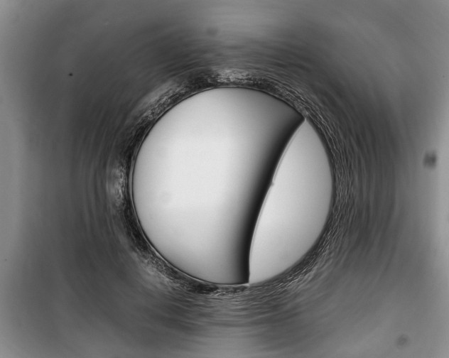 X0000100350648200806060801