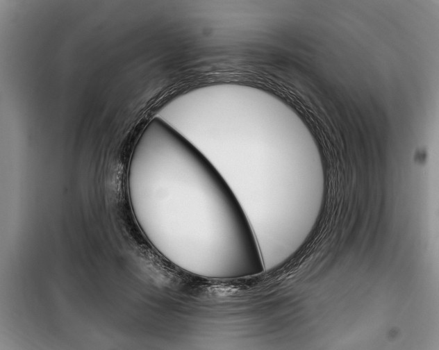 X0000100350650200806060801