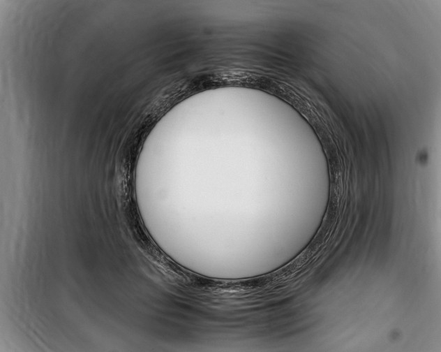 X0000100350653200806060801