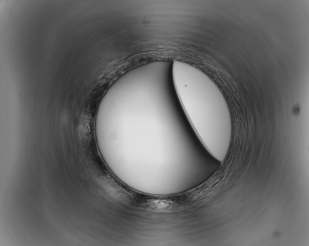 X0000100350654200806060801