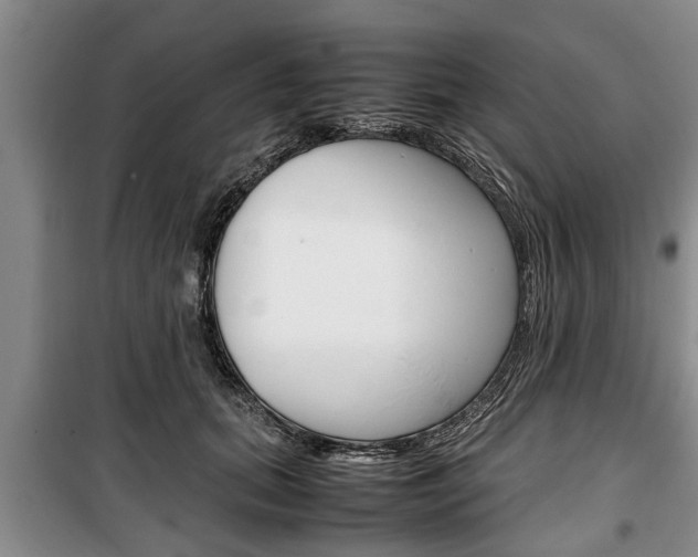X0000100350655200806060801