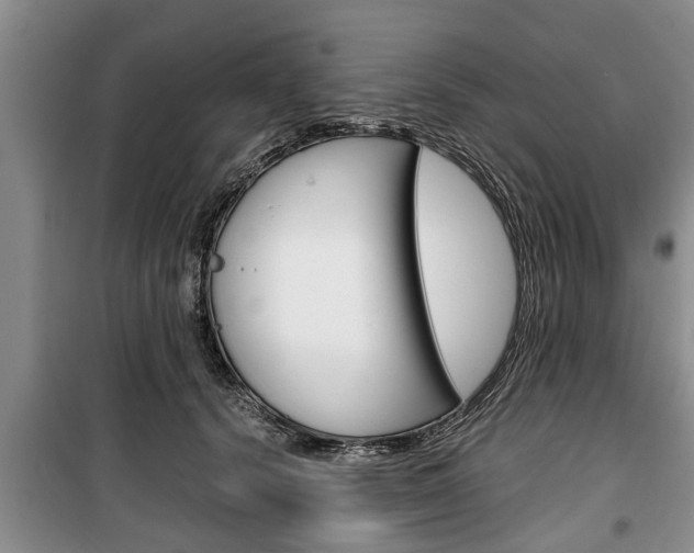 X0000100350656200806060801