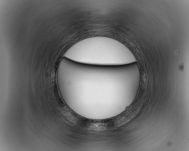 X0000100350657200806060801