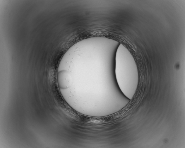 X0000100350659200806060801