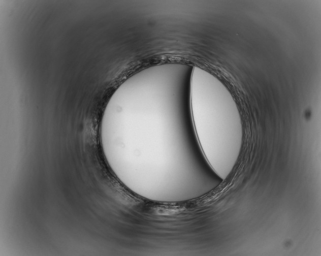 X0000100350661200806060801