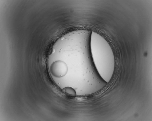 X0000100350662200806060801