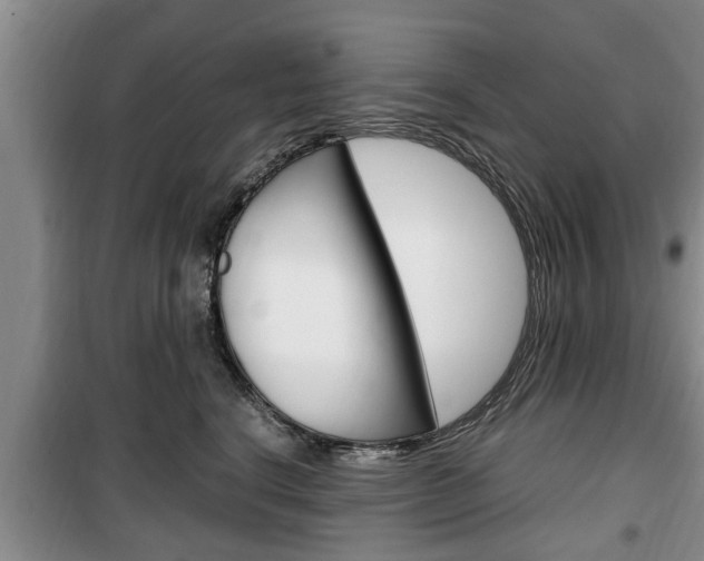 X0000100350664200806060801