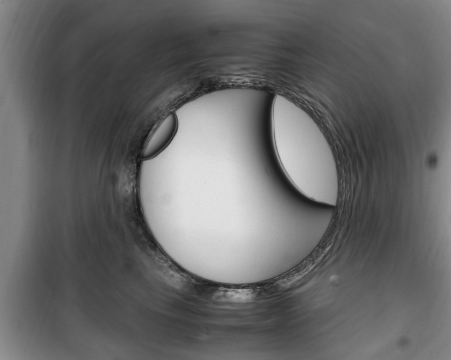 X0000100350665200806060801
