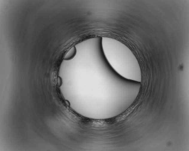 X0000100350666200806060801