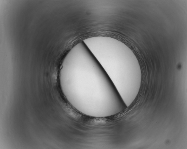 X0000100350668200806060801