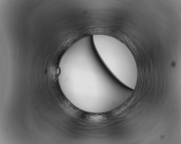 X0000100350669200806060801