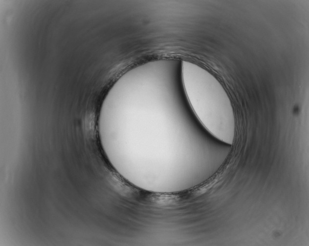 X0000100350670200806060802