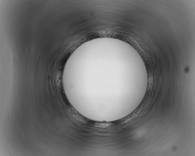 X0000100350671200806060802