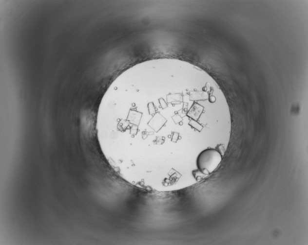 X0000100350672200806060802