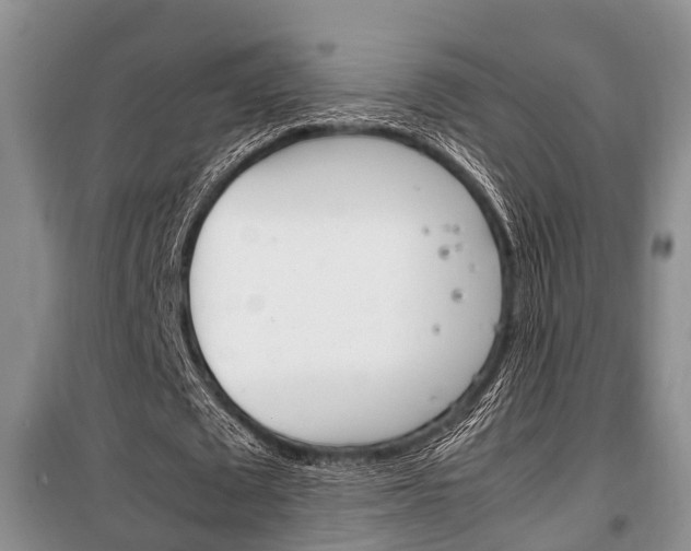 X0000100350673200806060801
