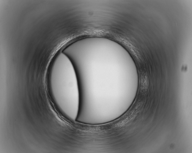 X0000100350674200806060801