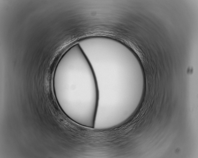 X0000100350675200806060801