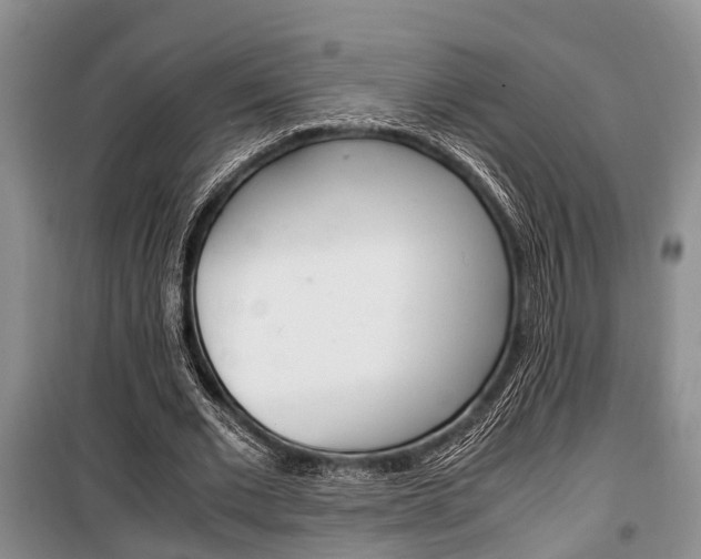 X0000100350677200806060801
