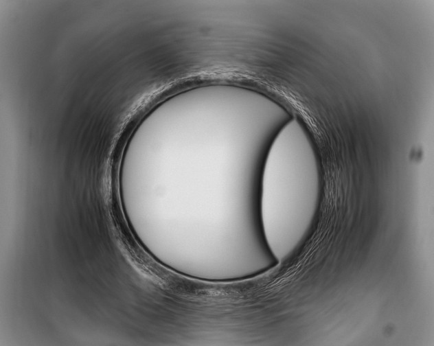 X0000100350678200806060801