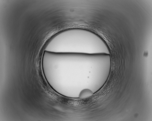 X0000100350679200806060801