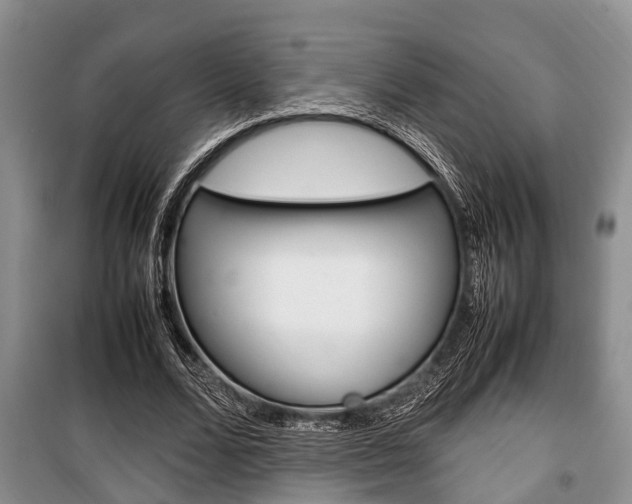 X0000100350680200806060801