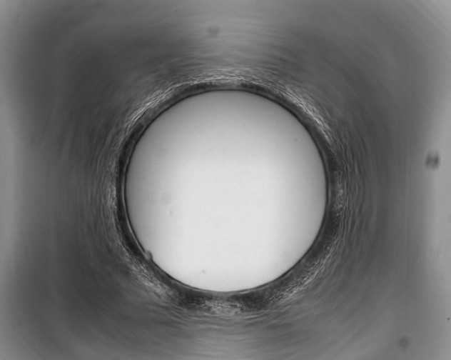 X0000100350681200806060801