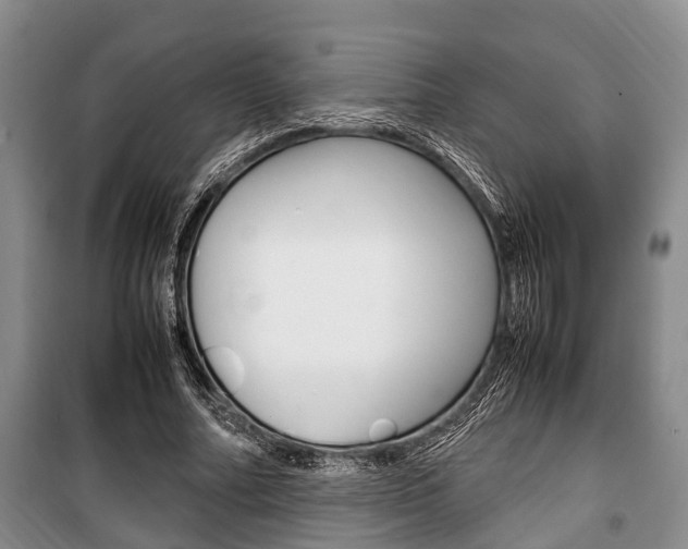 X0000100350682200806060801