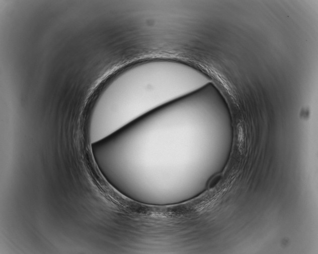 X0000100350684200806060801