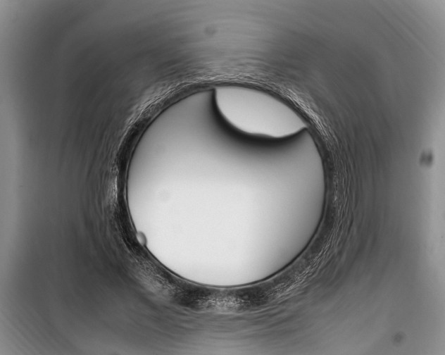 X0000100350685200806060801