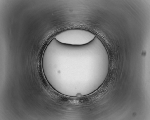 X0000100350687200806060801