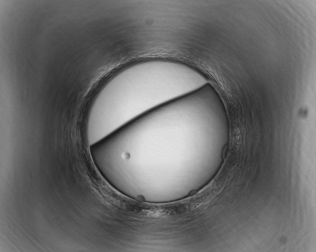 X0000100350688200806060801