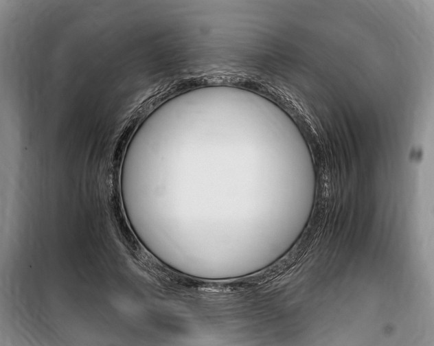 X0000100350690200806060801