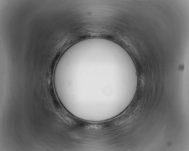 X0000100350691200806060801