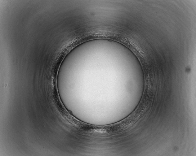 X0000100350692200806060801