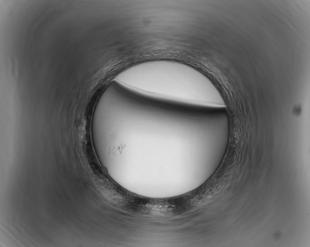 X0000100350693200806060801